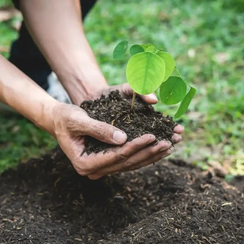 Soil_Organic_Carbon_11zon Soil_Organic_Carbon_11zon